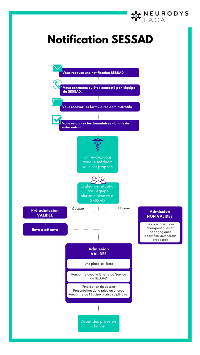 Infographie - SESSAD